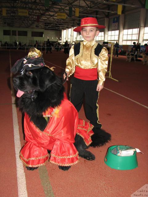 Фотография № 3009