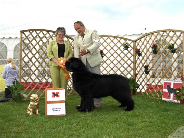 Фото: Twillin Gate King of Helluland