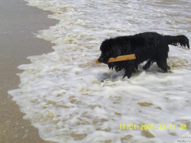 Фотография № 30124