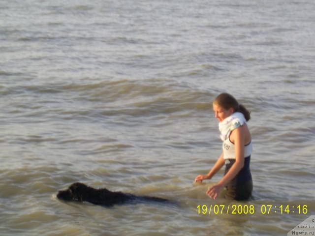 Фотография № 30129