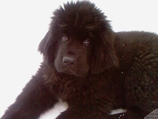 Фотография № 30222