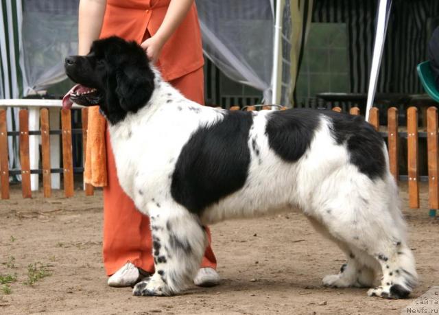 Фотография № 30266