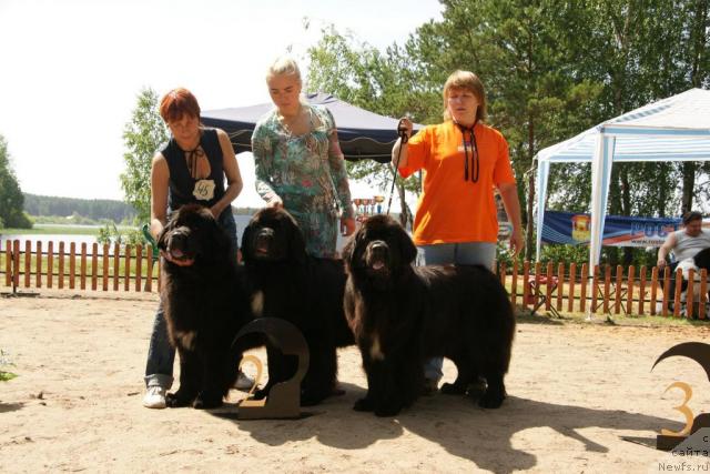 Фотография № 30283