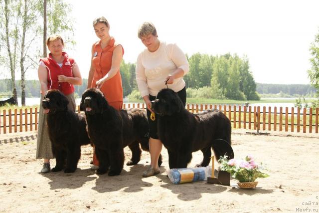 Фотография № 30284