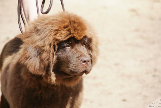 Фотография № 30287