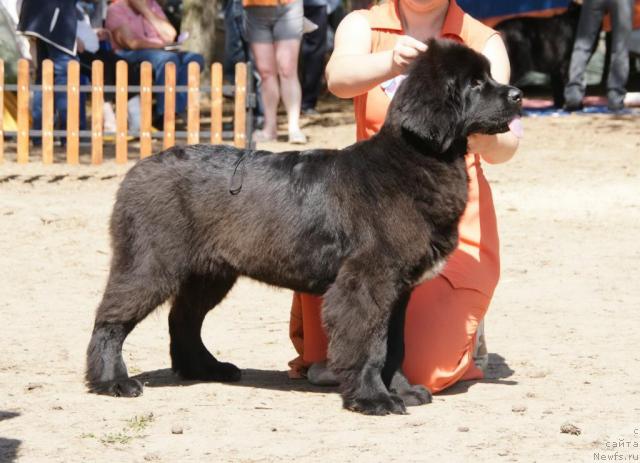 Фотография № 30294