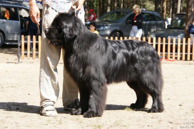 Фотография № 30299