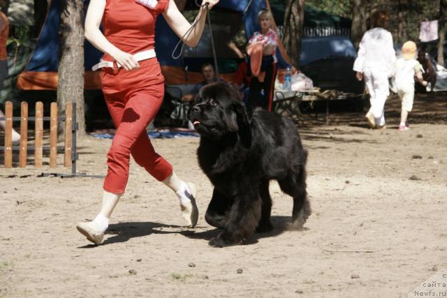 Фотография № 30300