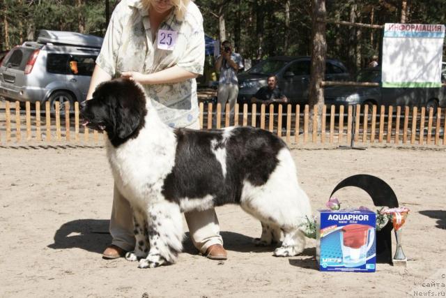 Фотография № 30304