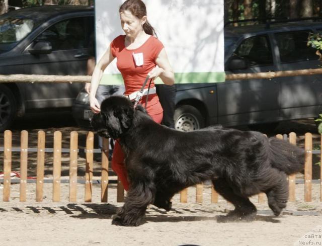 Фотография № 30315