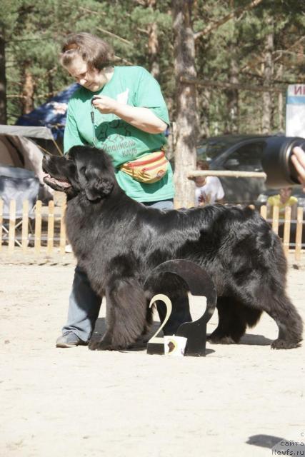 Фотография № 30318