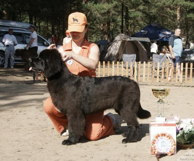 Фотография № 30327