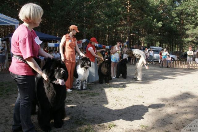 Фотография № 30328