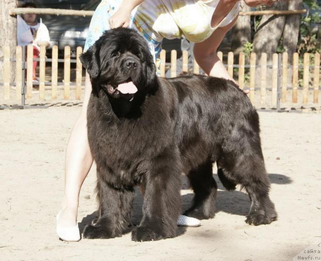 Фотография № 30329