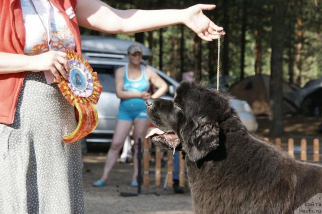 Фотография № 30330