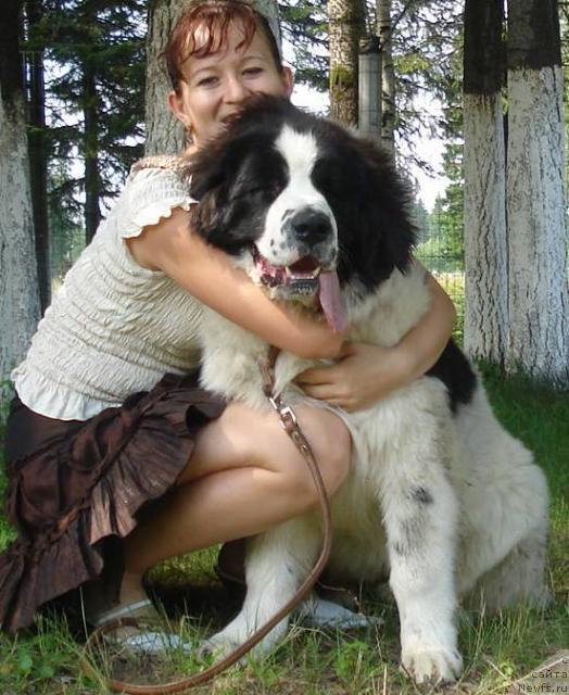 Фото: Хризолит Серебрянный Блеск из Уникальной Коллекции