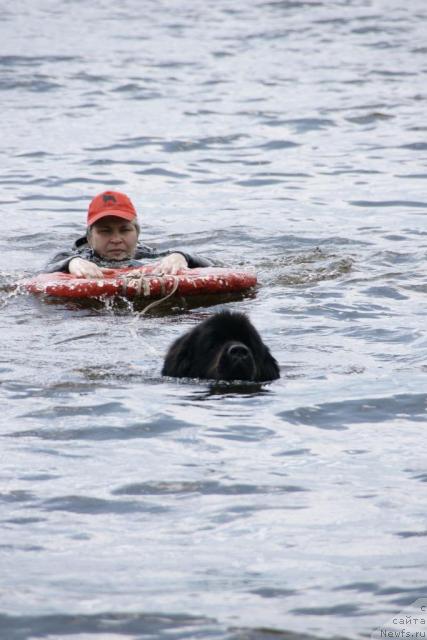 Фотография № 30414