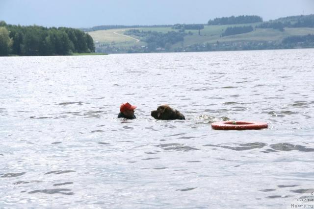 Фотография № 30415