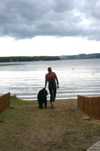 Фотография № 30420