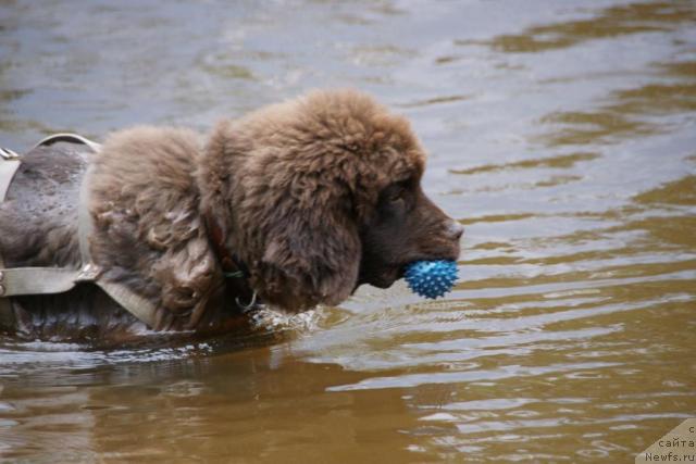 Фотография № 30421