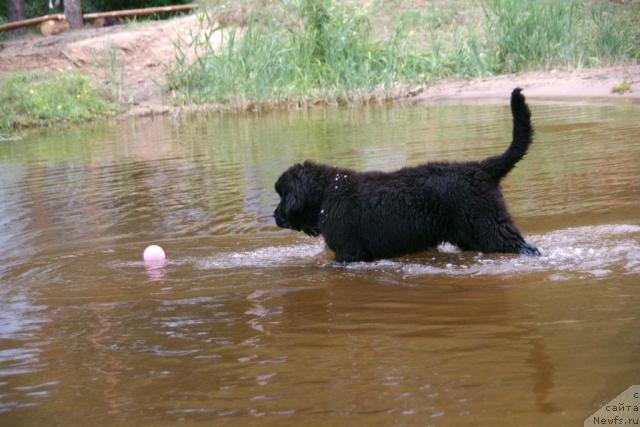 Фотография № 30423