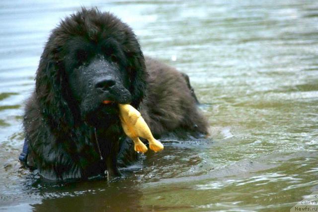 Фотография № 30425