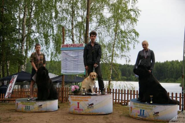 Фотография № 30429