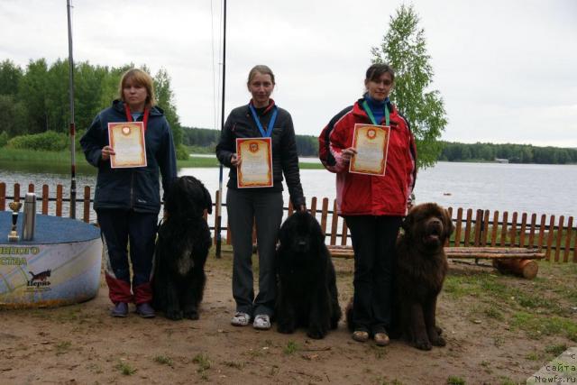 Фото: ньюфаундленд Супер Бизон Анталия, ньюфаундленд Норт Фэйс Лаванда, ньюфаундленд Amazing Grace vom Riesrand