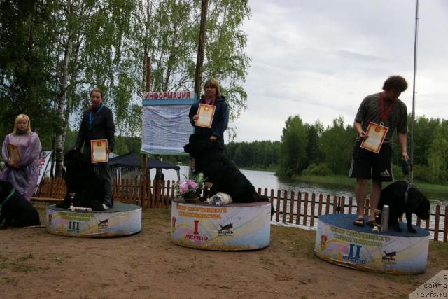 Фотография № 30431