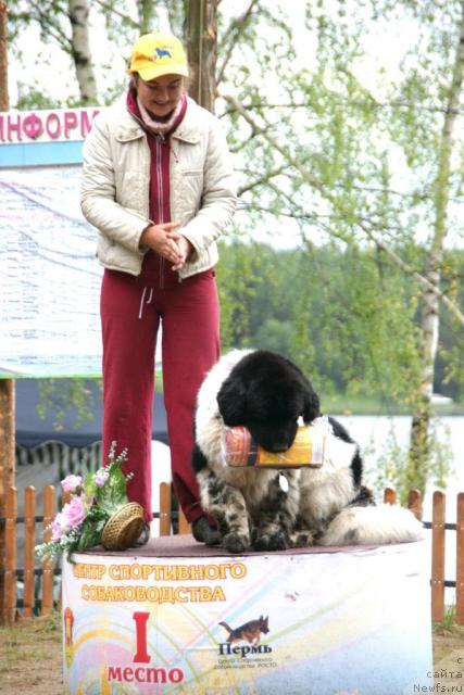 Фотография № 30435