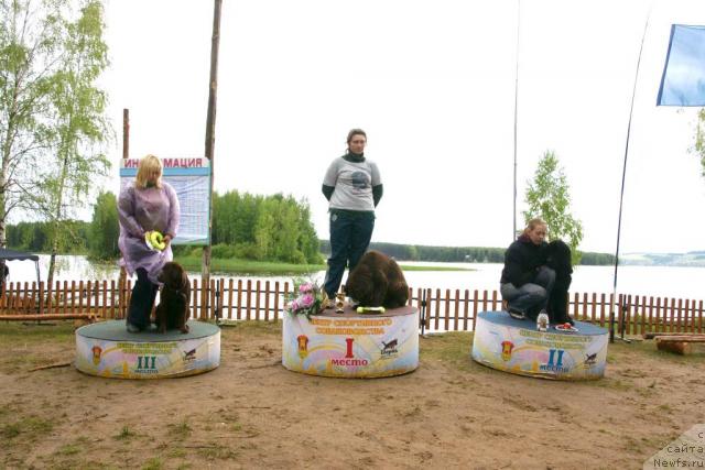 Фотография № 30439