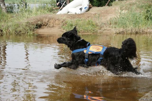 Фотография № 30441