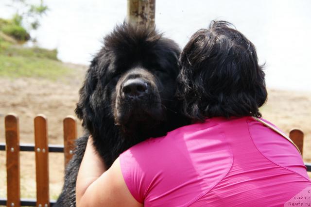 Фотография № 30442