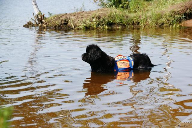 Фотография № 30443