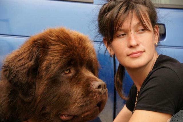 Фотография № 30444