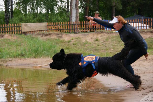 Фотография № 30446