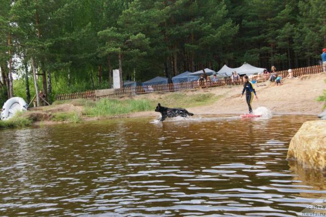 Фотография № 30448