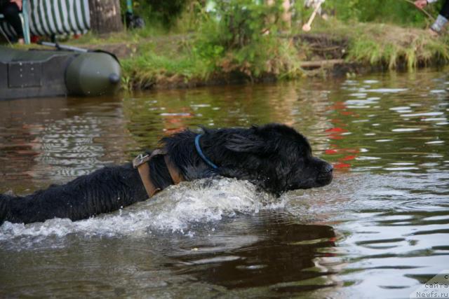 Фотография № 30450