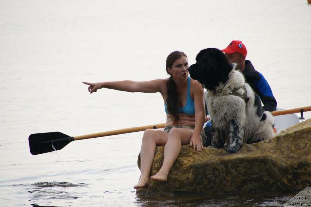 Фотография № 30451