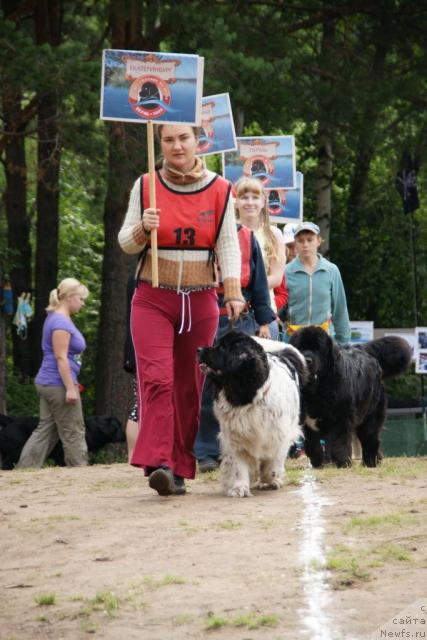 Фотография № 30456