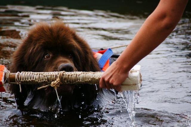 Фотография № 30457