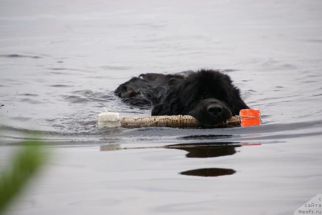 Фотография № 30458