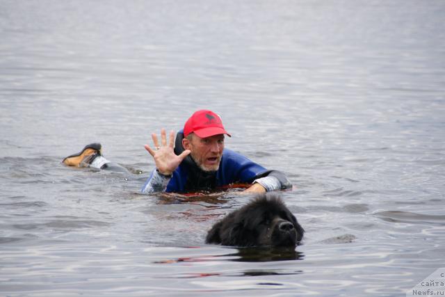 Фотография № 30459