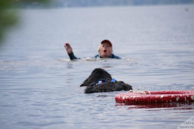 Фотография № 30460