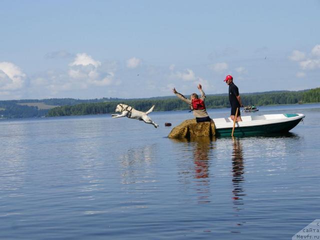 Фото: Лабр!