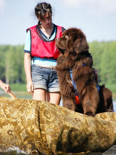 Фотография № 30462