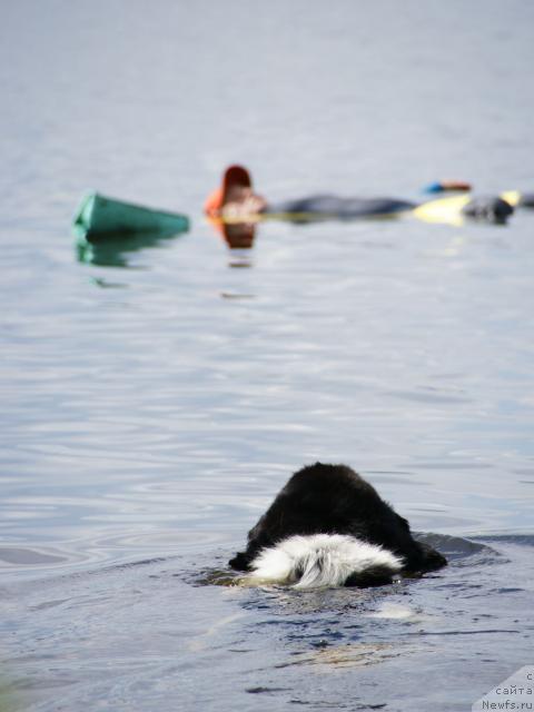 Фотография № 30464