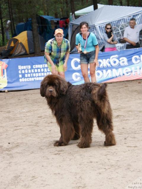 Фотография № 30474