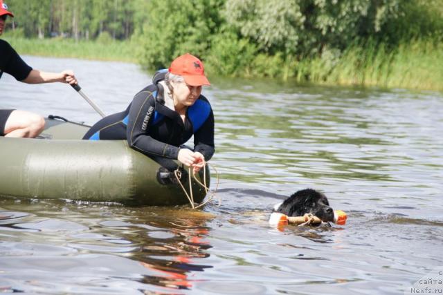 Фотография № 30477