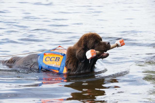 Фотография № 30480